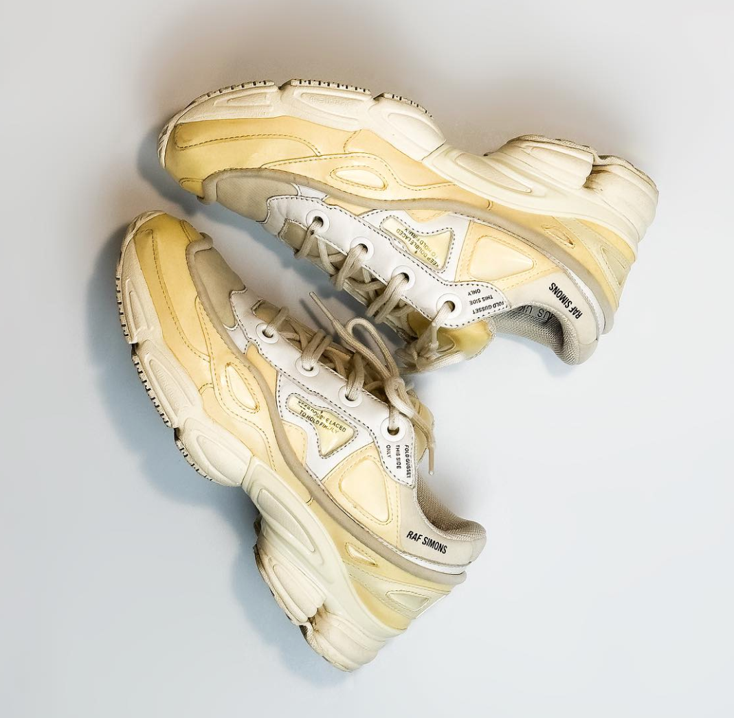 Adidas Raf Simons x Ozweego